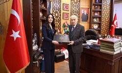 'Eserlerle Devlet Bahçeli' kitabı yayımlandı