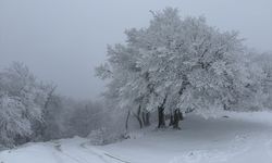 Ganos Dağı eteklerinde karla kaplanan ormanlar güzel görüntü oluşturdu