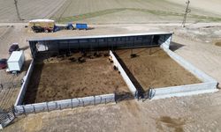 Genç girişimci devletten aldığı destekle besi çiftliği kurdu