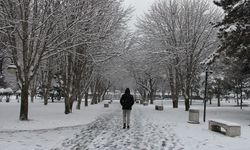 Kayseri'de kar etkili oluyor