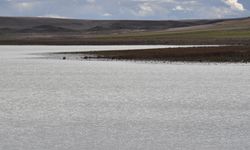 Konya'daki Küçük Göl 4 yıl aradan sonra su tutmaya başladı