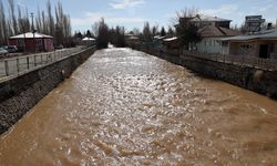 Sivas'ta yaklaşık 10 bin dönüm ekili tarım arazisi su altında kaldı