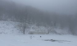 Tekirdağ'da yüksek kesimlerde sis etkili oldu