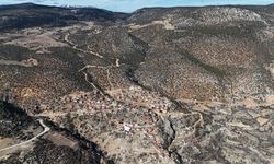 Karaman'da 1931 yaşındaki anıt ağaç asırlara meydan okuyor