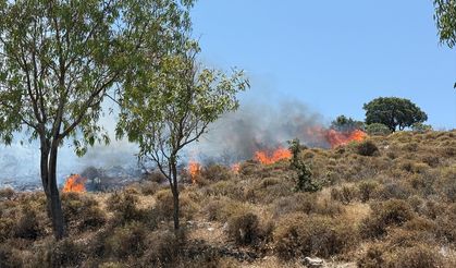 Bodrum'da makilik ve otluk alanda çıkan yangına müdahale ediliyor