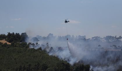 Çanakkale'de tarım arazisinden ormanlık alana sıçrayan yangına müdahale ediliyor