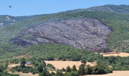 GÜNCELLEME - Bursa'da çıkan orman yangını kontrol altına alındı