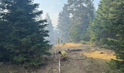 Çankırı'da çıkan orman yangınına müdahale ediliyor