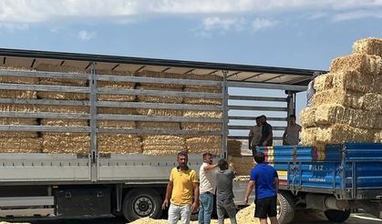 Çankırı'dan Karabük'teki yangından etkilenen çiftçilere yem desteği