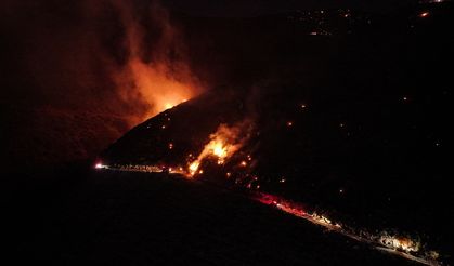 GÜNCELLEME 2 - Hatay'daki orman yangınına müdahale sürüyor