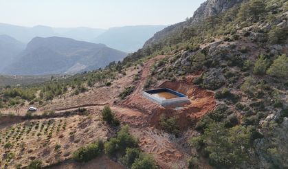 Kuraklıktan etkilenen zeytin bahçeleri devlet desteğiyle kurulan sulama sistemiyle hayat buluyor