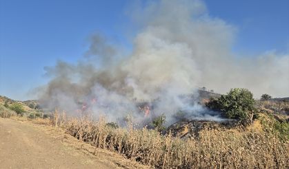 Manisa'da makilik alanda çıkan yangına müdahale ediliyor