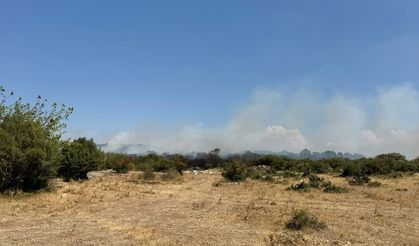 GÜNCELLEME 2 - Bursa'da çıkan orman yangını kontrol altına alındı