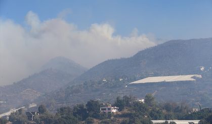 GÜNCELLEME 3 - Antalya'nın Alanya ilçesindeki orman yangınına müdahale sürüyor