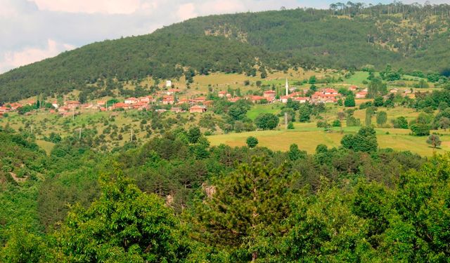 Ormanlık alanlara girişler yasaklandı!