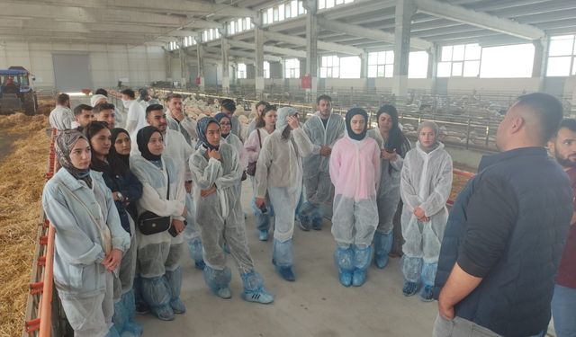 Aksaray'da veteriner teknikerliği öğrencileri uygulamalı eğitim aldı
