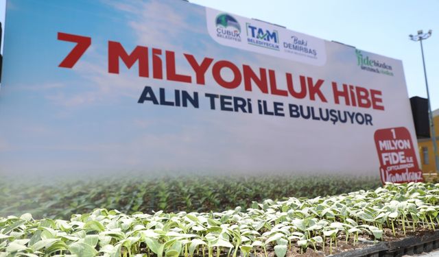 Çubuk Belediyesi çiftçilere sebze fidesi dağıtımına başladı