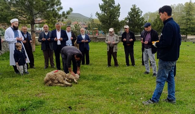 Dodurga'da şükür kurbanı kesildi