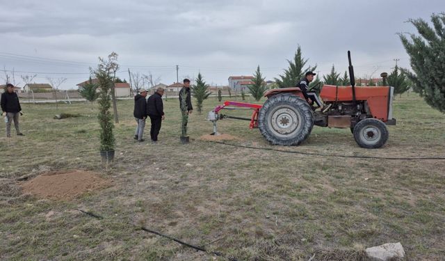 Eskil Belediyesinden yeşil bir gelecek için ağaç dikim etkinliği