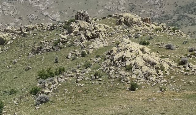 Kırşehir'de dağcılar "19 Mayıs"ı 1530 rakımlı zirvede kutladı