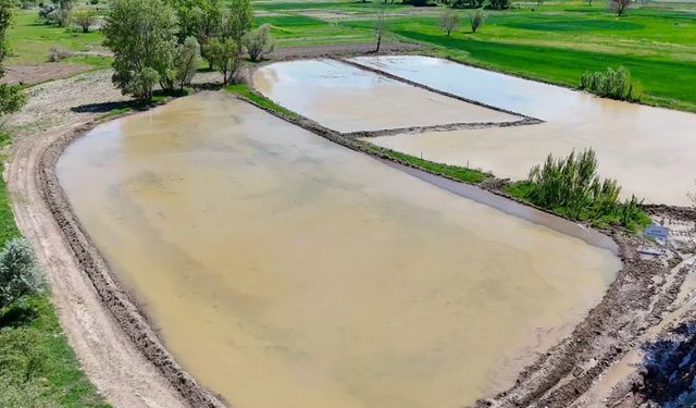Kızılcahamam’da çeltik ekimi yapıldı