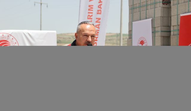 Nevşehir'de karantina altındaki bölgelere dayanıklı patates tohumu ekimi yapıldı