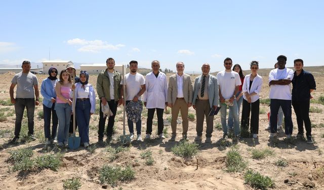 NÖHÜ'de yöresel yedi üzüm çeşidi toprakla buluşturuldu