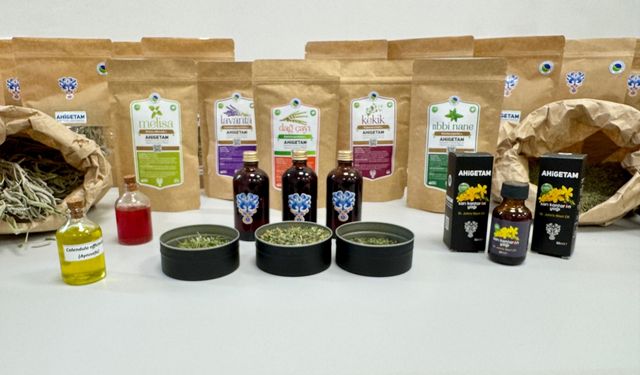 Tıbbi aromatik bitkiler işlenerek katma değerli ürünler elde edilecek
