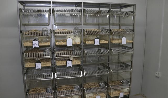 Yozgat Bozok Üniversitesinde Deneysel Araştırmalar Merkezi açıldı