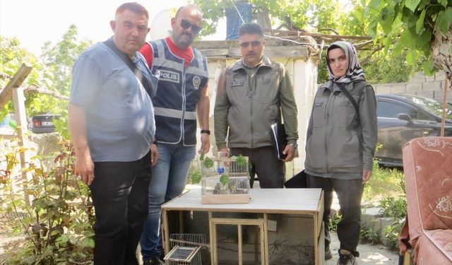 Kırşehir'de evinde saka kuşu satan kişiye 77 bin 600 lira ceza kesildi