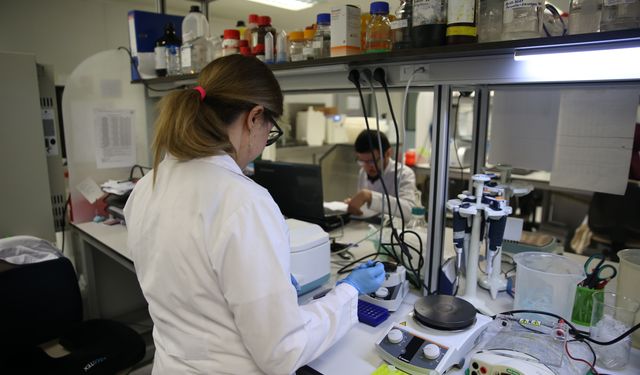 KKKA aşısının klinik öncesi çalışmalarının eylüle kadar bitirilmesi planlanıyor