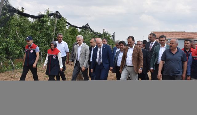TBMM Zirai Don Olayını Araştırma Komisyonu üyeleri, Karaman'da elma bahçelerini inceledi