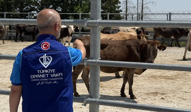 Türkiye Diyanet Vakfı, Konya'da 4 bin 25 kurban hissesinin etini ihtiyaç sahiplerine ulaştıracak