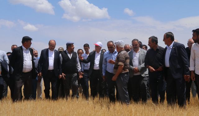 TZOB Genel Başkanı Bayraktar, Çankırı'da kuraklıktan ve dondan etkilenen tarım arazilerini gezdi
