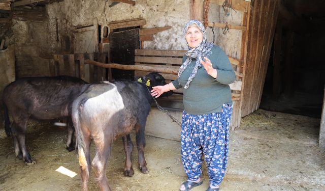 Büyükşehir’den üreticiye destek
