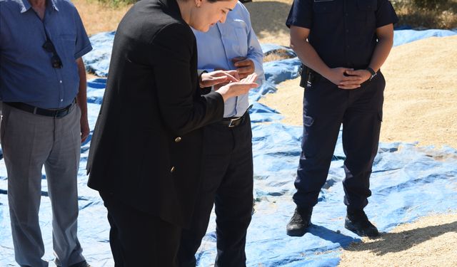 Bahşılı Kaymakamı Bozkır, buğday hasadına katıldı