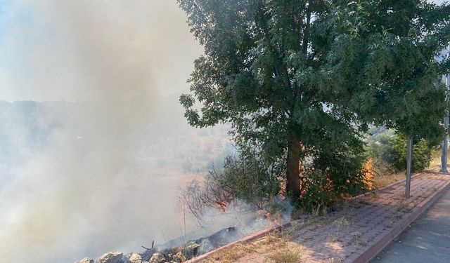 Beyşehir'de otluk alanda çıkan yangın söndürüldü