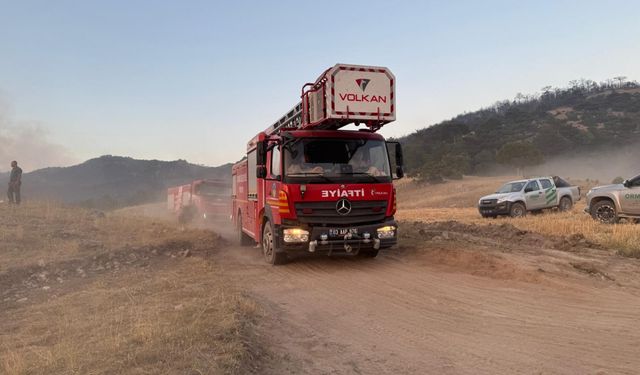 Eskişehir'de çıkan orman yangını Afyonkarahisar'a sıçradı
