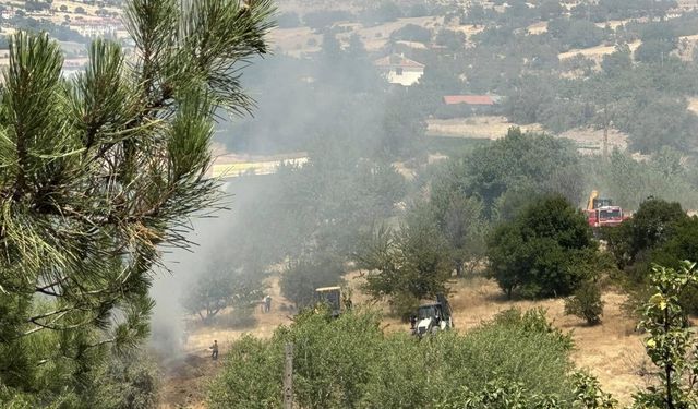 Güdül'de otluk alanda çıkan yangın söndürüldü
