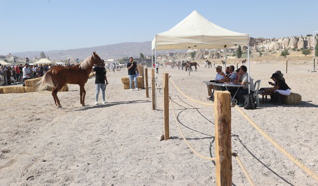 Kapadokya'da 'At Güzellik Yarışması' düzenlendi