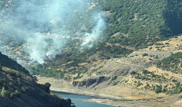 Kızılcahamam'da çıkan yangında 8 ev kullanılamaz hale geldi