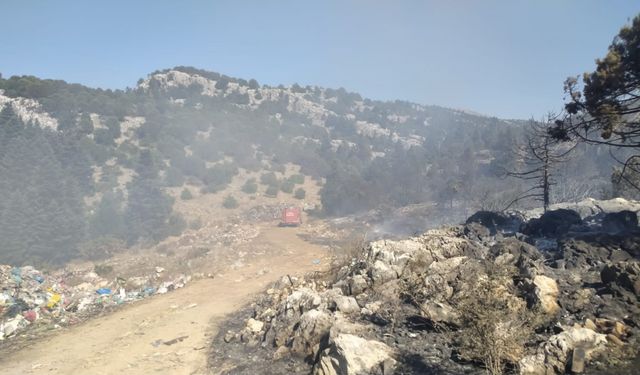 Konya'da ormana sıçrayan yangın söndürüldü