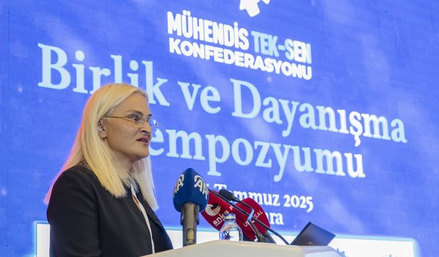 Mühendis Tek-Sen Konfederasyonu kuruldu