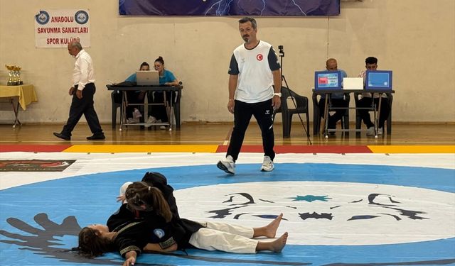 Nallıhan'da Alpagut Turan Dövüş Sanatları etkinliği başladı