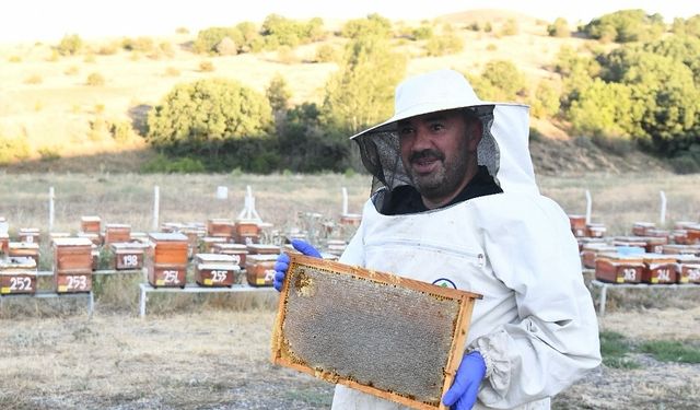 Pursaklar Belediyesinin 300 kovanda ürettiği balın hasadına başlandı