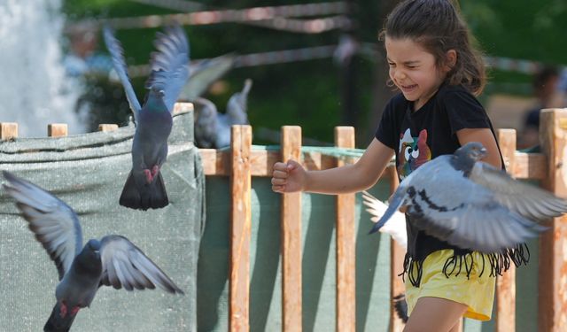 Sıcak havada Başkentliler park ve açık alanlara yöneldi