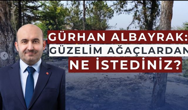 Albayrak'tan dikkat çeken açıklama