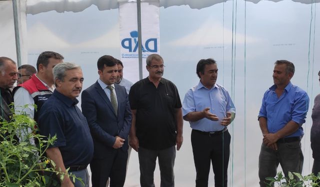 Akıncılar'da 'Örtü Altı Yetiştiriciliği Projesi' başladı