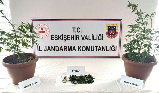 Eskişehir'de evinin balkonunda Hint keneviri yetiştirdiği iddia edilen şüpheli yakalandı