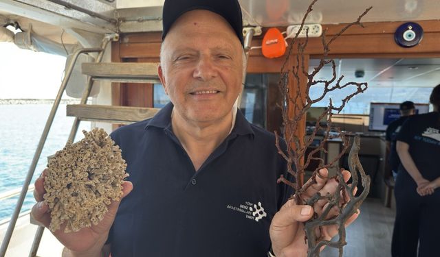 GRAFİKLİ - Siyah ve taş mercanlar deniz ekosistemi için kritik önemde